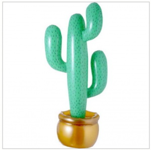 cactus gonflable